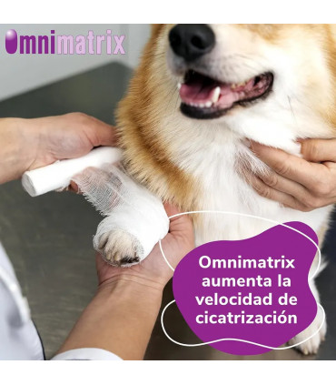 Omnimatrix 20g - Crema Cicatrizante Rápida para Heridas